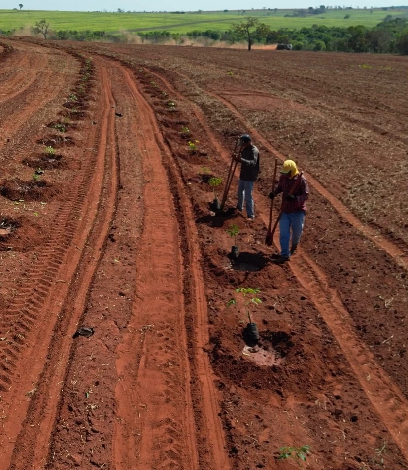 Imagem JPG, Indisponível